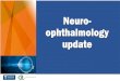 Neuro- ophthalmology update · Neuro-ophthalmology update. Neuro-ophthalmology Update Professor Helen Danesh-Meyer Department of Ophthalmology. Of which fundus is this a diagram?