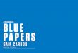 BLUE PAPER S · 2019-03-20 · 3 | gain carbon manual tÉcnico caracterÍsticas direcciÓn 1-1/8”, 1-1/2” integrated eje pedalier bb86 desviador delantero braze on type desviador