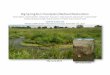 Big Spring Run Floodplain/Wetland Restoration › ccs › Documents › BSR-Nutrients-and-Sed-S… · After (June 2013) Big Spring Run Floodplain/Wetland Restoration Before (April