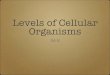Levels of Cellular Organisms...Whether the organisms is a one-celled amoeba or a gigantic sequoia tree, it is composed of cells. Those organisms that are composed of just one cell
