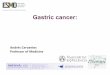 Andrés Cervantes Professor of Medicine · Adenocarcinoma of the stomach or lower third of the oesophagus (from 1999), suitable for curative resection Non-metastatic disease Stage