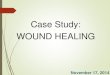 Case Study: WOUND HEALING - Erin M. Green, RD · Case Study: WOUND HEALING November 17, 2014. INTRODUCTION “The problem of pressure ulcers is timeless. Despite increasing technology