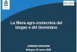 La filiera agro-zootecnica del biogas e del biometanoenergia.regione.emilia-romagna.it/.../documenti/02_maggioni.pdf · LORENZO MAGGIONI Bologna, 18 marzo 2016 La filiera agro-zootecnica