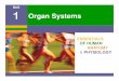Unit 1 Organ Systems - MR. CRAMER › ... › 39145505 › day_09-_organ_sy… · (e) Endocrine system Glands secrete hormones that regulate processes such as growth, reproduction,