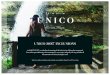 UNICO 20 87 INCLUSIONS - AIC Hotel Group › marketing › UNICO_Promo › UNICO 2087...UNICO 20 87 INCLUSIONS Market Price: Market Price:$89 USD 20˚87˚ Price: $18 USD Includes:
