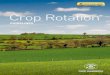 Crop Rotation - CNH Industrial · 2016-07-25 · • crop rotation, as a rule, improves performances of each crop: this is consequent to different nutrition and tillage requirements