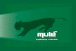 Mule Lighting Catalog - USESI · Mule Lighting , Inc. 46 Baker Street Providence, RI 02905 800 556-7690 P 401 941-2929 F New Products and Features 3 led flex & led color flex pages