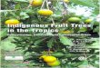 Indigenous Fruit Trees in the Tropics : Domestication ...eprints.jcu.edu.au/27776/1/27776_Leakey_et_al_2008.pdf · Domestication, Utilization and Commercialization Edited by Festus