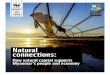 Natural connections...4 Natural connections How natural capital supports Myanmar’s people and economy 5 Nature helps protect us, and we must protect it in turn. Myanmar has a wealth