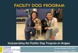 FACILITY DOG PROGRAM - Magee Rehabilitation Hospital › wp-content › uploads › 2017 › 10 › ... · Dog-Assisted Therapies and Activities in Rehabilitation of Children with