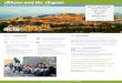 Athens and the Aegean - WordPress.com › 2015 › 12 › ... · Athens and Delphi Tours with Guide Acropolis and Parthenon Acropolis Museum Greek Cultural Evening Greek Dancing Lesson