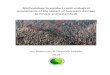 Jan Meerman & Oswaldo Sabido, 2016 - Belize · Meerman & Sabido, 2016: Post Hurricane Forest Damage Assessment Page 7 The methodology must be easily implemented by field staff with