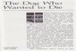 The Dog Who Wanted to Die - LRHS Mrs. Ryanlrhsmrsryan.weebly.com/.../8/6/2/9/86291476/the_dog_who_wanted_t… · The Dog Who Wanted to Die 5 his father's, there was a microscope and