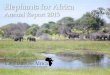 Elephants for Africa · the elephants’ last remaining stronghold with the largest remaining elephant population left in the world. Unsurprisingly, Botswana’s elephants are in