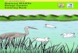 U.S. Fish & Wildlife Service National Wildlife Refuge System Coloring Book · 2017-10-11 · The National Wildlife Refuge System Coloring Book was developed to introduce primary grade