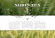 10小 麦 農 林 10 号 NORIN TEN：人類を飢餓から救った日本の小麦 世界中の農学研究者が知っている日本の小麦品種 があります。その名は小麦農林10号。国際的には