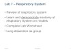Review of respiratory system Learn and … › Assets › pdfs › Mickey-Dufilho › Anatomy...Lab 7 – Respiratory System •Review of respiratory system •Learn and demonstrate