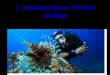 1- Introduction to Marine Biology - Sewell's Science …msewell.weebly.com/.../70453749/1_-_intro_to_marine_bio.pdfWhy Study Marine Biology? 1. Some scientists believe life has arisen