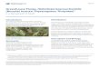 Greenhouse Thrips, Heliothrips haemorrhoidalis (Bouche ...edis.ifas.ufl.edu/pdffiles/IN/IN23200.pdf · Greenhouse Thrips, Heliothrips haemorrhoidalis (Bouche) Insecta: Thysanoptera: