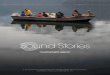 sound stories · 5. Film making - gathered clips from par-ticipants into a working documentary film of 20-28 minutes in length and by creating public awareness media. 6. Technology