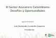 El Sector Azucarero Colombiano: Desafíos y OportunidadesEstructura del Cluster Valle del Cauca Cauca Risaralda Caldas Quindío •13 Ingenios •12 cogeneradores de energía •5