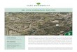 Bee Cave Commercial Flyer - LoopNet · 2017-08-01 · BEE CAVE COMMERCIAL FOR SALE SITE The City of Bee Cave is rich in history.The area derived its name from the colonies of Mexican