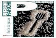 Parchi da gustare › cms › images › parchi_ricette_web.pdf · 2018-03-07 · Secondo le indicazioni dettate dalla cucina borghese moderna, il catalogo di questi sapori ineguagliabili