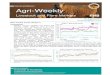 Agri-Weekly - Application Serverwebapps.daff.gov.za › AmisAdmin › upload › 05 Aug 2016.pdf · FNB Agri-Weekly Page 4 Class A lamb also posted good gains, up 1.5% w/w and 9%