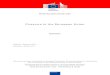 Firearms in the European Union · terms of whether common European laws might improve the control of firearms, whether the EU is the institution best placed to address firearms trafficking,