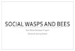Social wasps and bees - agrilife.org › ... › 605 › files › 2016 › 03 › Social-wasps-and-bees… · Social Wasps • 100,000 species of wasps globally • 1000 of these