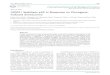 Research Paper NQO1 Stabilizes p53 in Response to Oncogene ... · Research Paper NQO1 Stabilizes p53 in Response to Oncogene- Induced Senescence Kaiyu Liu1, Bo Jin2, Chenglin Wu3,