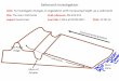Saltmarsh Investigation - Ms JMO's Biology Hivespacemsjoconnor.weebly.com › uploads › 2 › 3 › 9 › 1 › 23919811 › df-salt... · 2020-03-16 · Saltmarsh Investigation