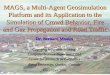 MAGS, a Multi-Agent Geosimulation Platform and its Application …muscamags/DocumentsMAGS/MAGS... · 2014-01-17 · Project history z1999-2001: development of PADI, a tool for the