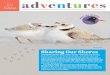 There’s lots more Audubon Adventures online, with fun, interactive …audubonadventures.org › docs › AA_Sharing_Our_Shores.pdf · 2020-03-11 · adventures There’s lots more