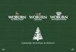 Celebrate Christmas at Woburn€¦ · Celebrate Christmas at Woburn. 2 The Woburn Estate offers a truly delightful setting for Christmas parties and celebrations. Our guests can choose