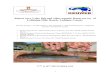 Report on a 2-day fish and other aquatic fauna survey of ... · 1 Report on a 2-day fish and other aquatic fauna survey of Lolldaiga Hills Ranch, Laikipia County Dorothy Nyingi1,2,