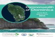 Commonwealth of Dominica · PDF file Dominica Coral Reef Report Card Dominica Timeline Protection for reefs (above line) / Key events impacting coral (below) Dominica Dominica has