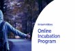 Online Incubation Program - Amazon S3 · 22 — Online Incubation Program Pricing — 05 Online Incubation Program — 3 intensive months incubating — Program based on learn by