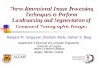 Three-dimensional Image Processing Techniques …people.ucalgary.ca › ~ranga › enel697 › LandMarkingCTImages.pdfThree-dimensional Image Processing Techniques to Perform Landmarking