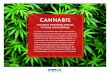 CANNABIS - FONA International · A genus of flowering plants that includes Cannabis ruderalis, Cannabis sativa, and Cannabis indica. CANNABINOIDS: The chemical compounds found in