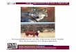 Reestablishment of the Mexican Gray Wolf: The Econoomics ... · conserve and ensure the survival of Canis lupus baileyi by maintaining a captive breeding program and re-establishing