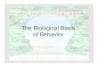 Biological Basis of Behavior - BISD Front Door · Psychology: An Introduction Charles A. Morris & Albert A. Maisto ©2005 Prentice Hall The Biological Basis of Behavior. Psychology: