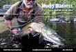 Musky Madness · the musky-bug, particularly watching one of these fish come to a fly! I’d like to share the magic with you. To this end, I’ve organized a dedicated team of guides