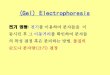 (Gel) Electrophoresis - KOCWcontents.kocw.net/KOCW/document/2015/yeungnam/konginchul/... · 2016-09-09 · Gel electrophoresis is used to characterize one of the most basic properties