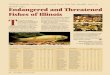 good sign. Endangered and Threatened Fishes of …Fishes of Illinois Unfortunately, being removed from the list usually isn’t a good sign. CommonName ScientificName Year 1981 1989