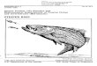 Species Profiles: Life Histories and ... - Merrymeeting Bay · peake Bay), usually 12; anal fin rays 7-13 (9-12 in Chesapeake Bay), usu- ally 11; anal spines 3, increasing stepwise