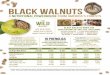 Black WalnutS€¦ · States. The world’s premier supplier of Black Walnuts is Hammons Products Company in Stockton, Mo., owned by the Hammons family since its founding in 1946