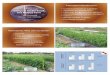 Compost Production and Use › hrt › uploads › 535 › 78622 › Biernbaum... · 2017-10-03 · Organic Compost Fertilizer Conventional 1c s w cc 2c s cc 1c w 2c s cc w 1c 2c