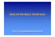 MALATTIE DELL’ESOFAGO - Fisiokinesiterapia Esofago.pdf · 2017-01-12 · ACALASIA IpoIpo/aganglia dei plessi nervosi sottomucoso e mioenterico/aganglia dei plessi nervosi sottomucoso