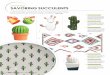 trending SAVORING SUCCULENTS - Bloomingville · trending SAVORING SUCCULENTS It’s all love for prickly plants, as cacti have been heating up as a theme throughout home and fashion